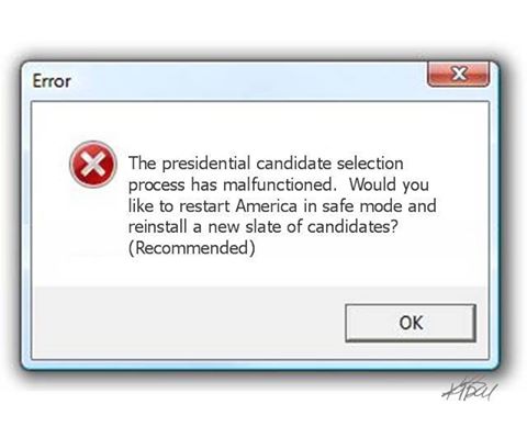 campaignprocess.jpg